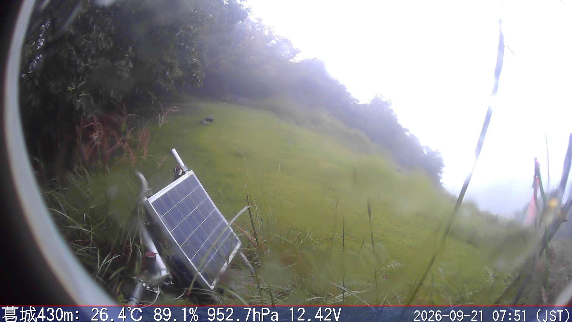 09/21 07:50