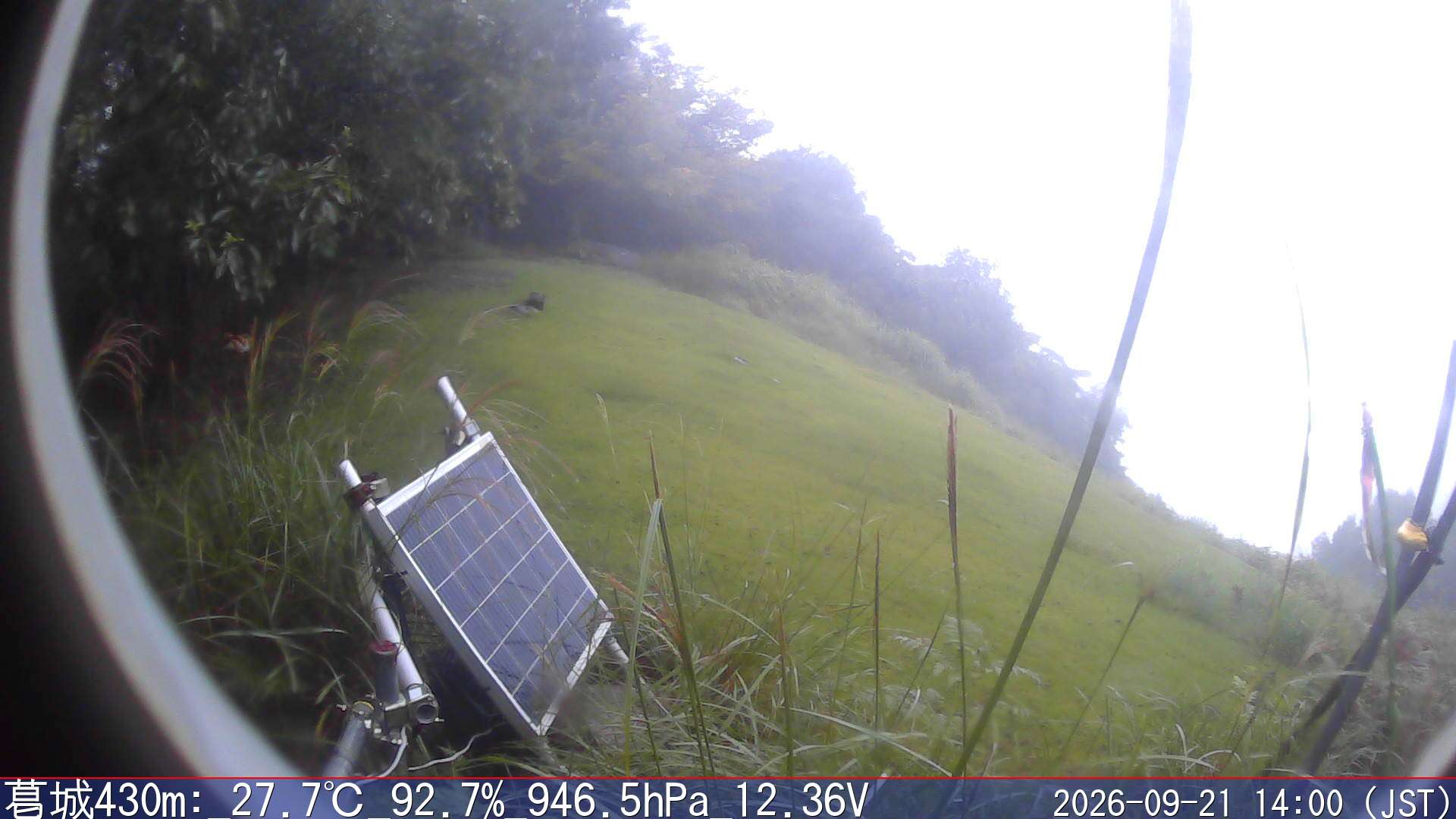 09/21 14:00