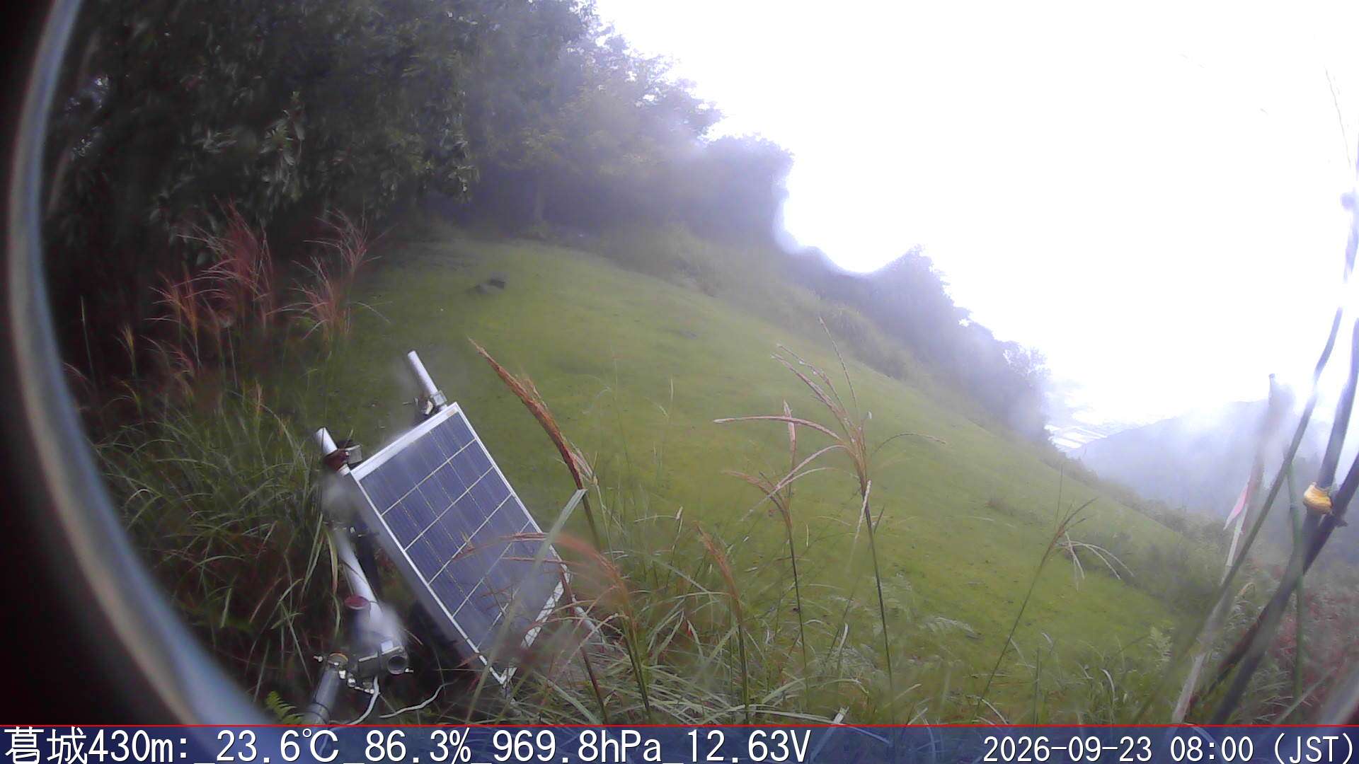 09/23 08:00