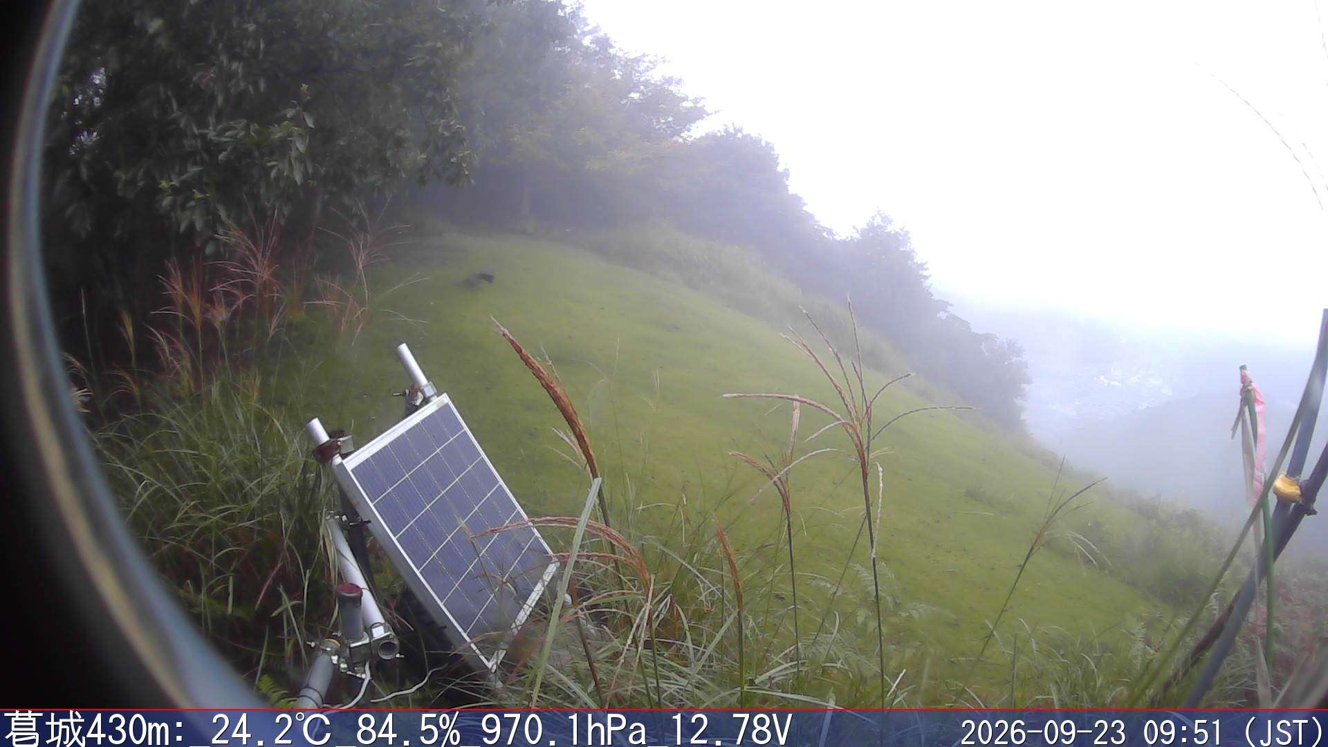 09/23 09:50