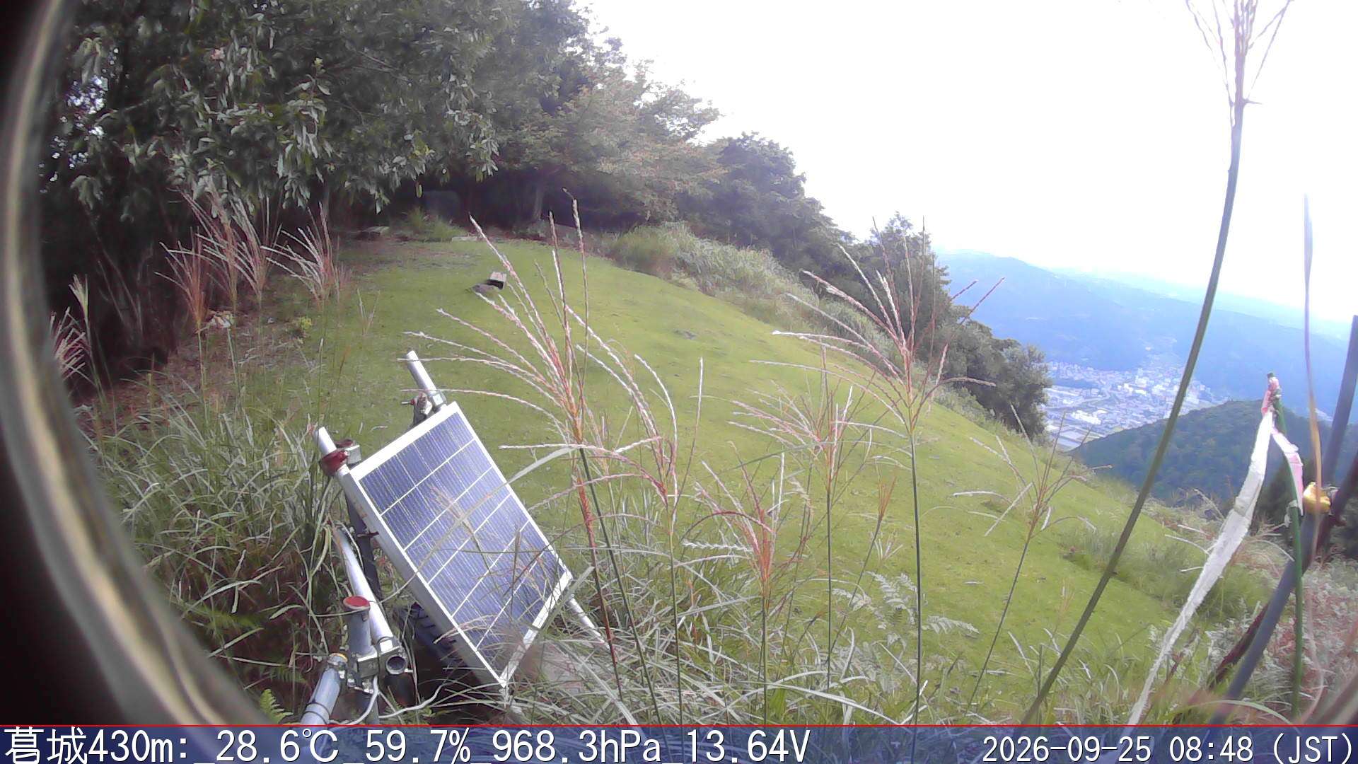 09/25 08:50