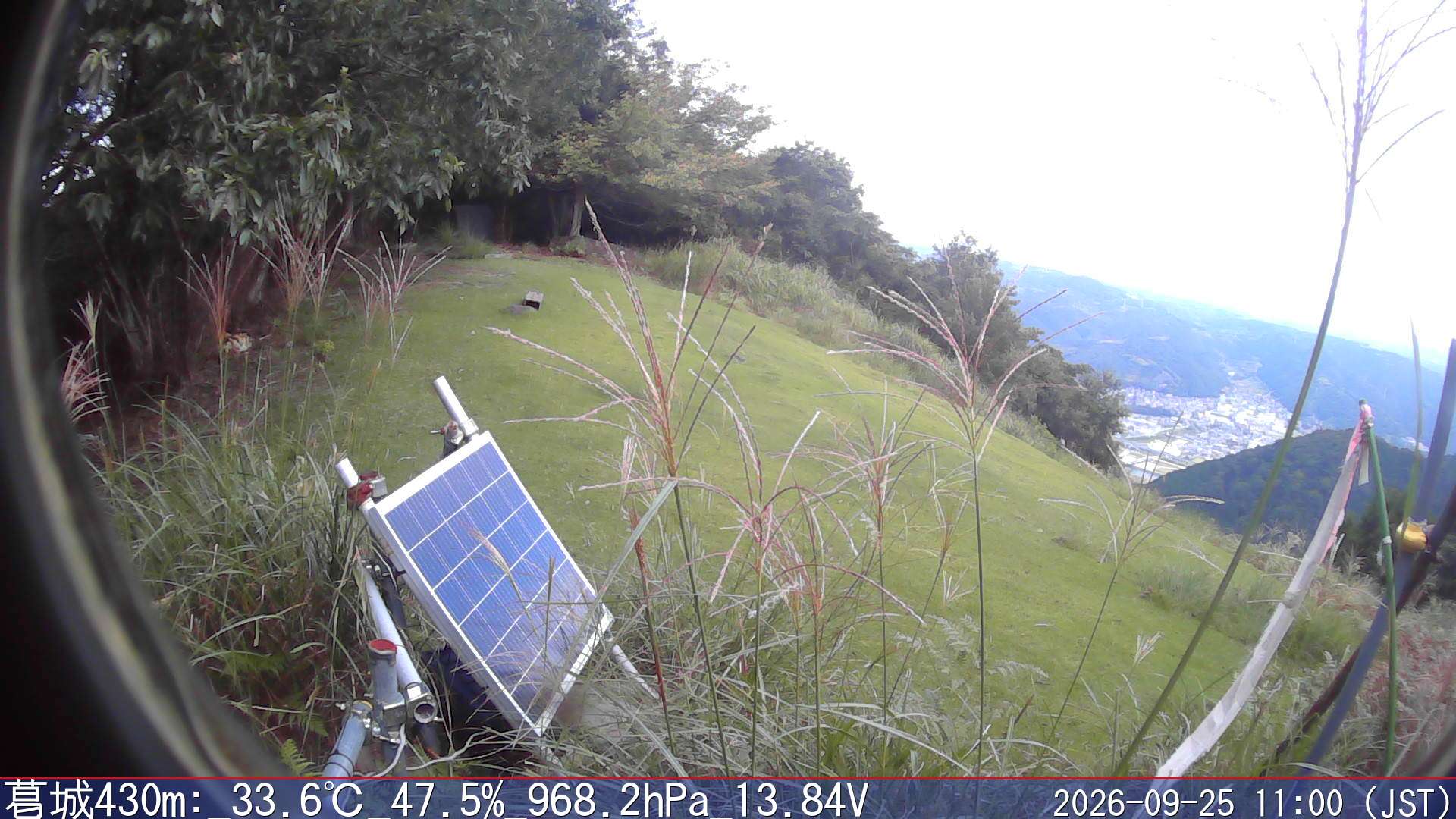 09/25 11:00