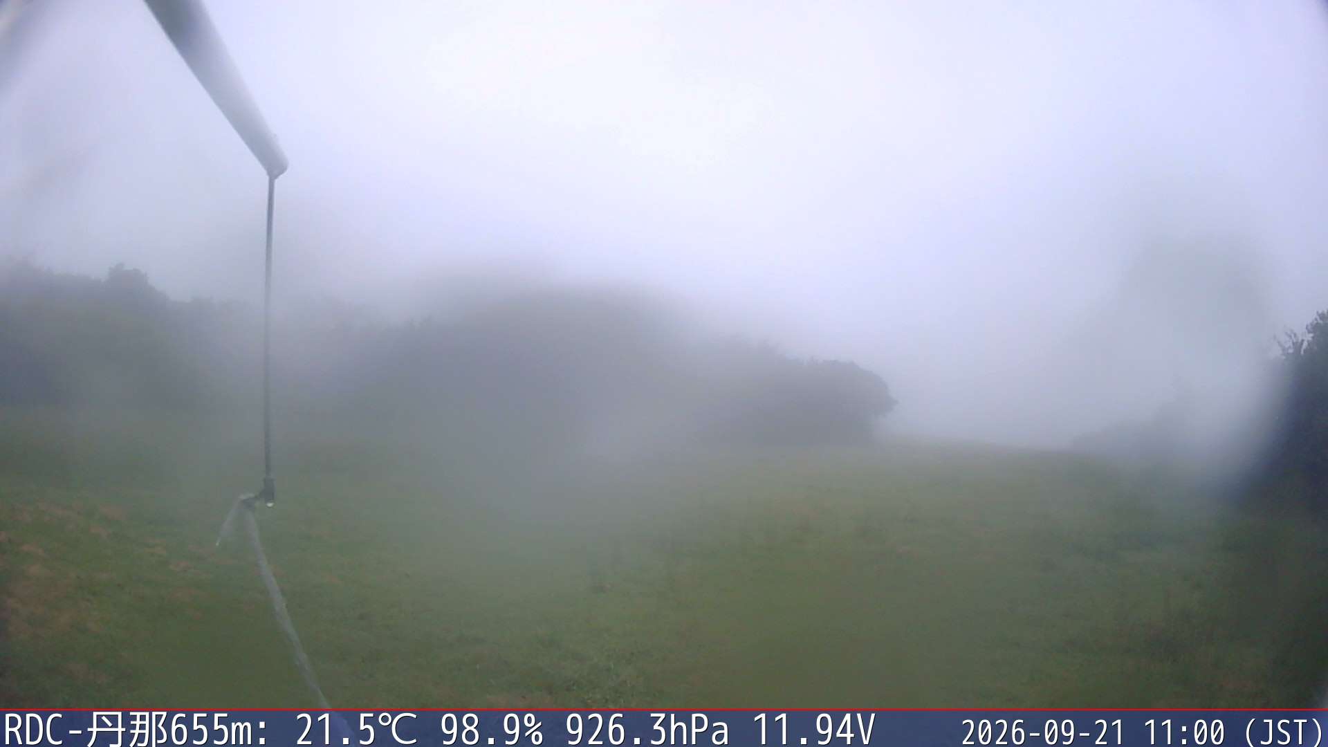 09/21 11:00
