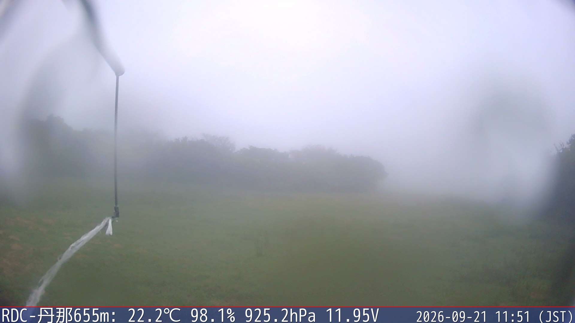 09/21 11:50