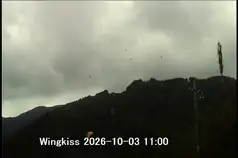 10/03 11:00