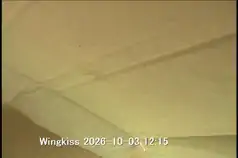 10/03 12:15