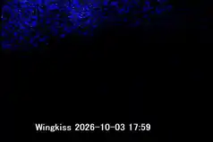 10/03 18:00