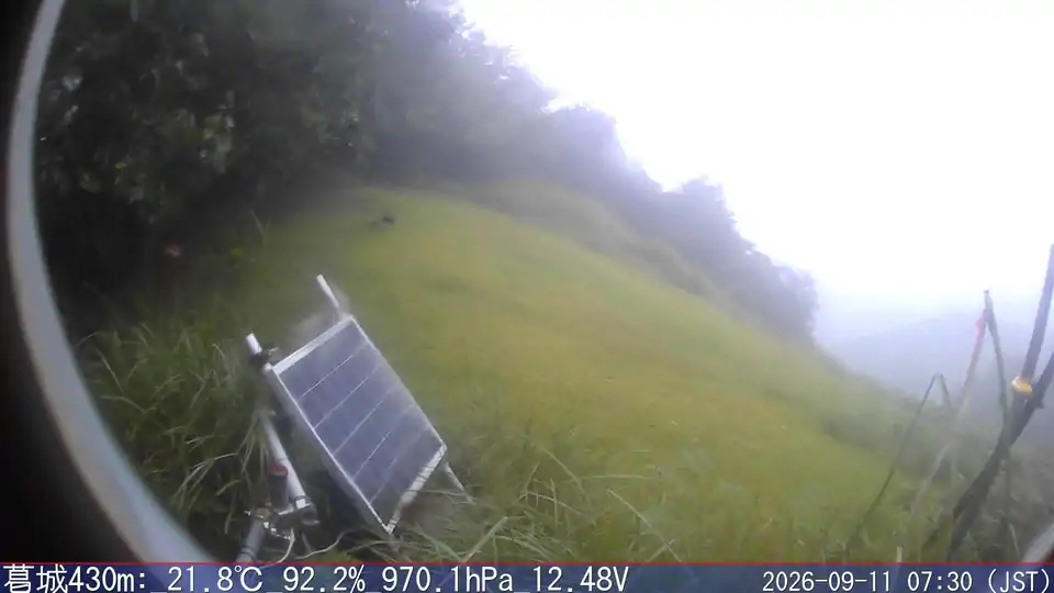 09/11 07:30