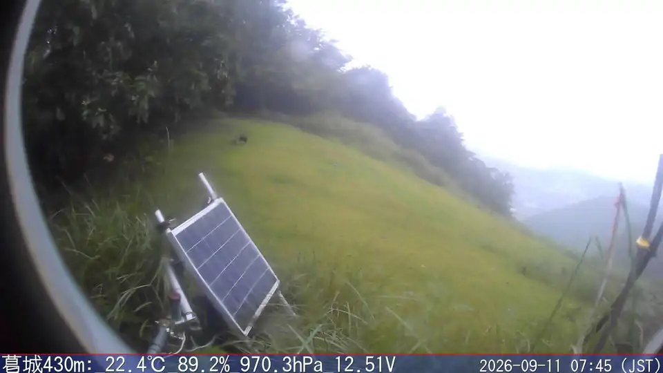 09/11 07:45