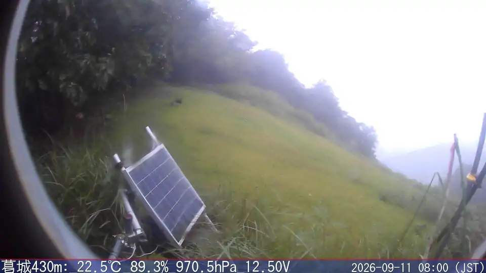 09/11 08:00