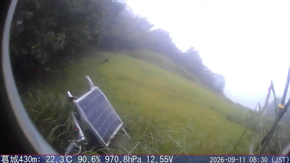 09/11 08:30