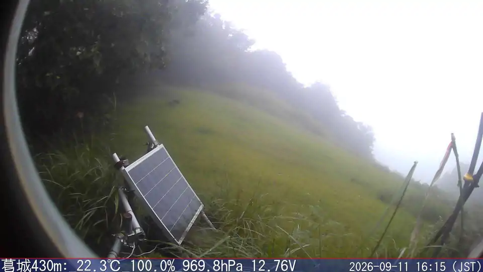 09/11 16:15