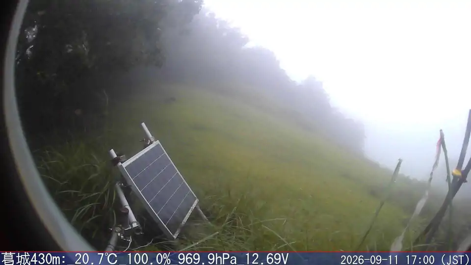 09/11 17:00