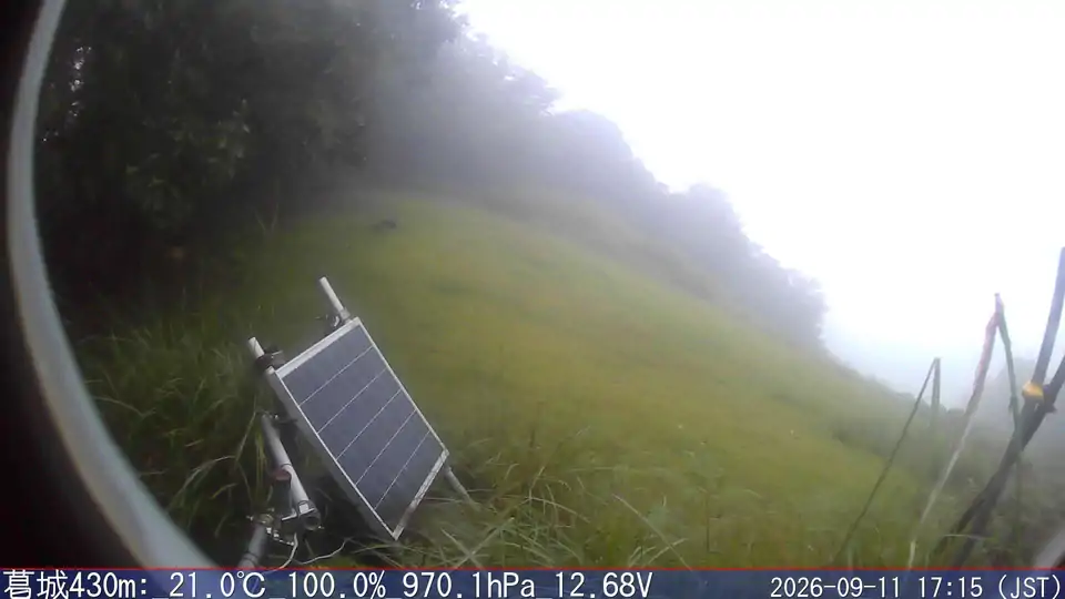 09/11 17:15