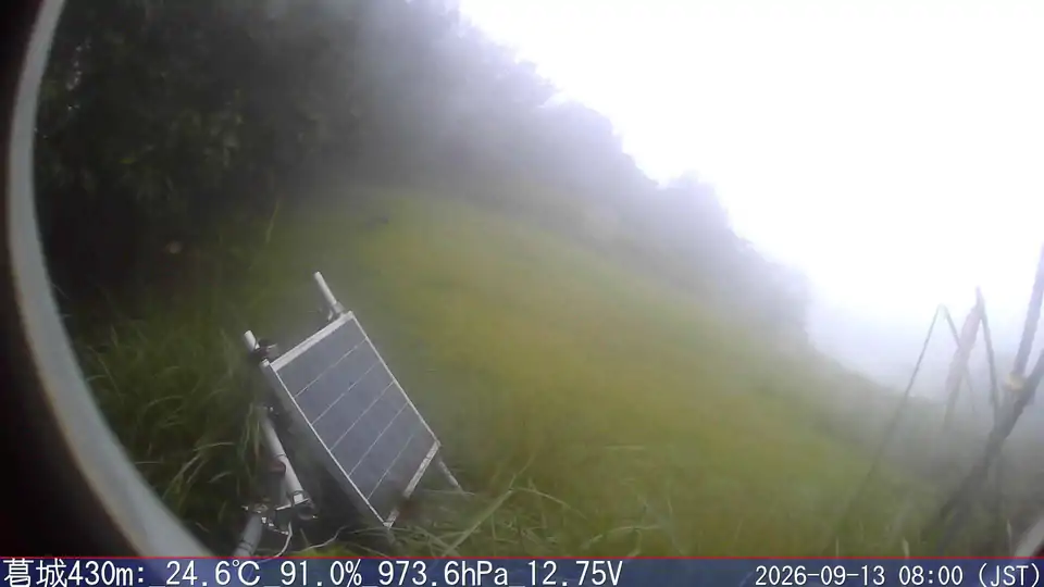 09/13 08:00
