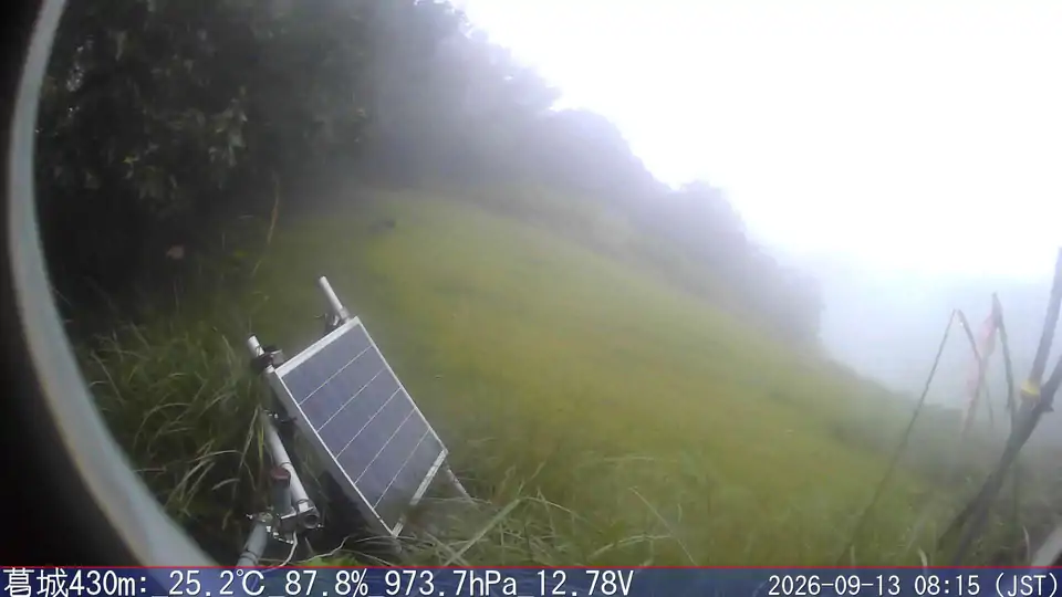 09/13 08:15