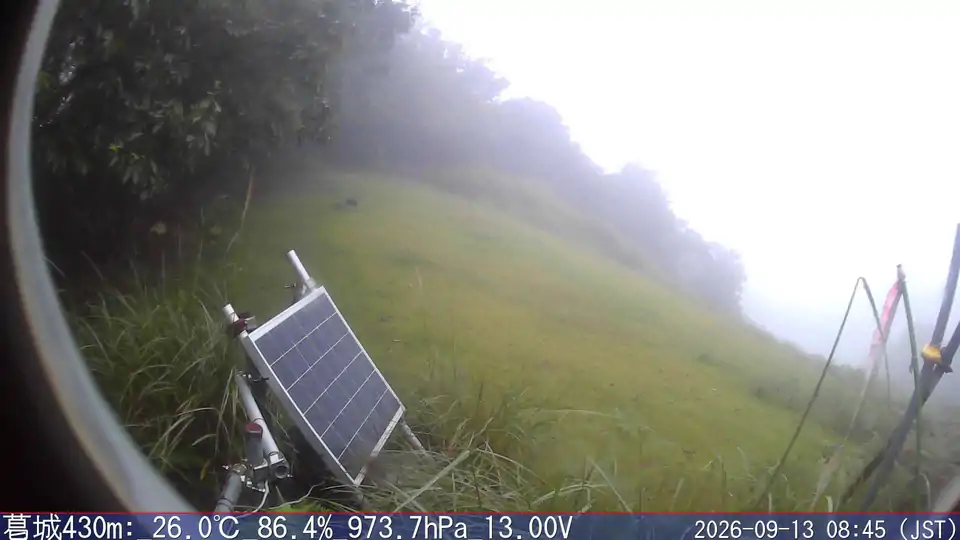 09/13 08:45