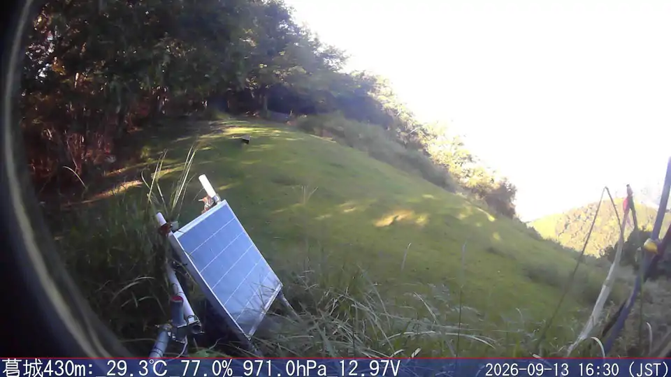 09/13 16:30