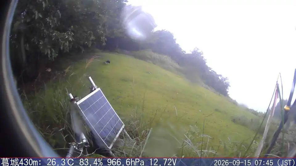 09/15 07:45