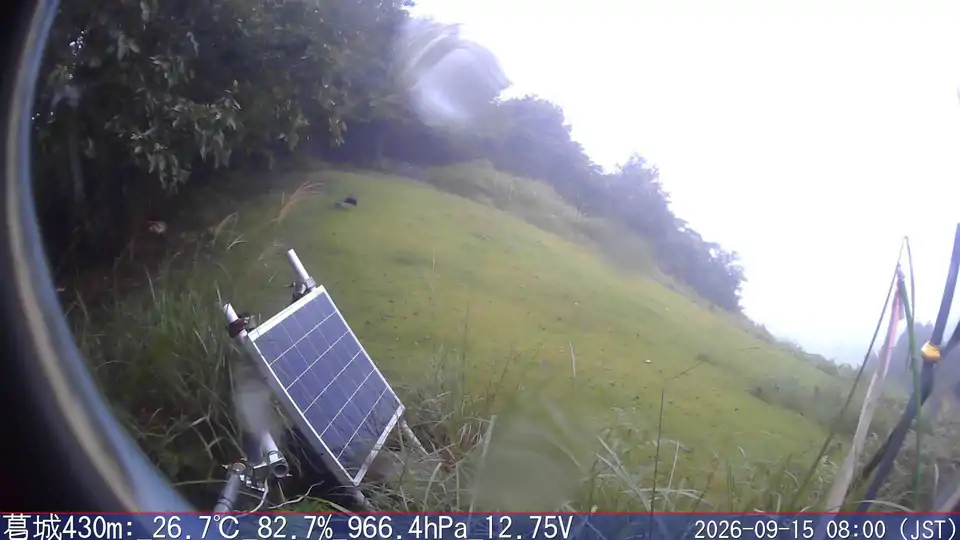 09/15 08:00