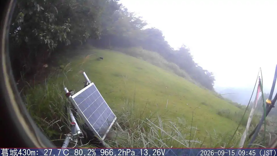 09/15 09:45