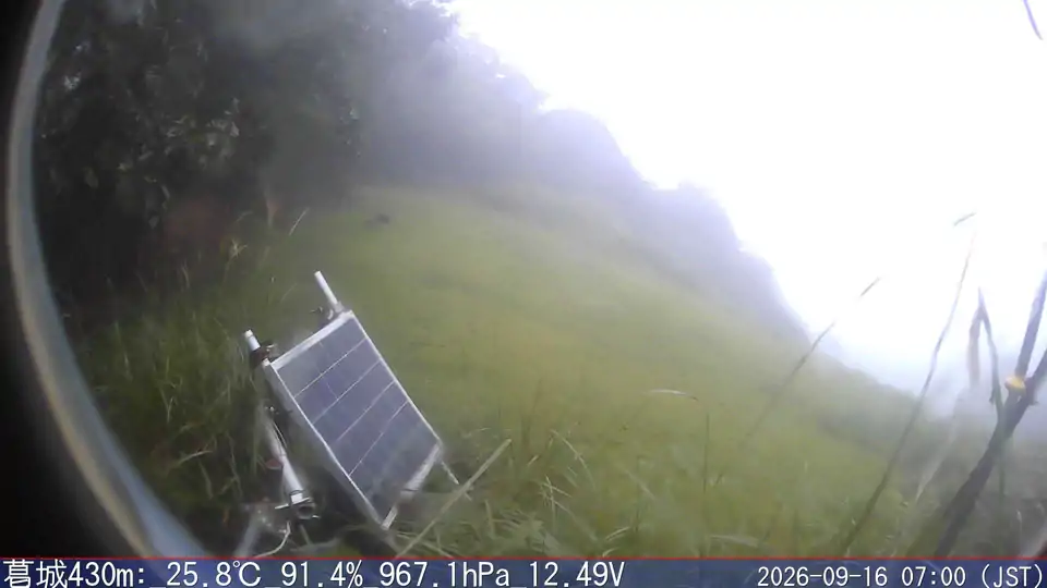 09/16 07:00