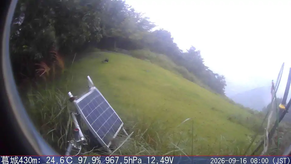 09/16 08:00