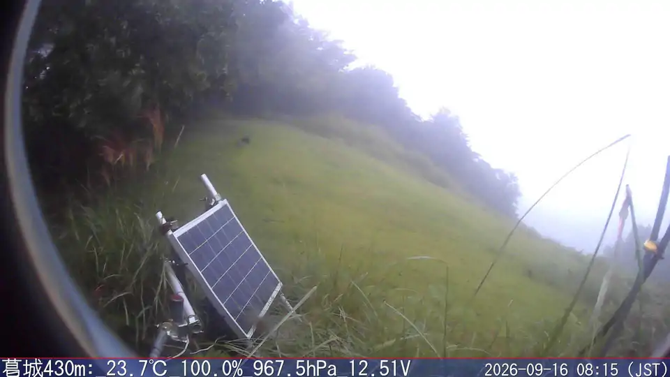 09/16 08:15