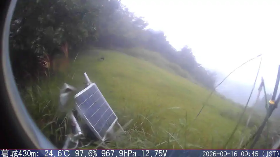 09/16 09:45