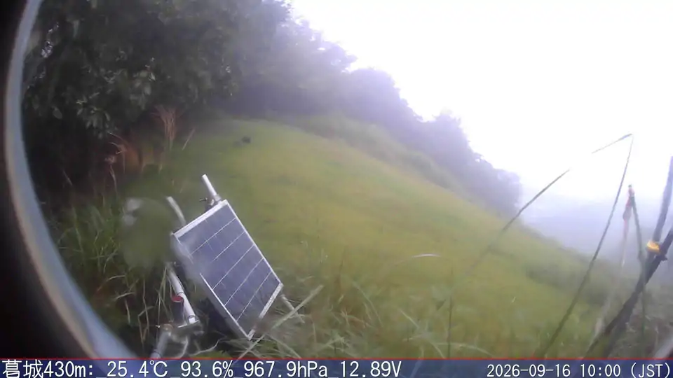 09/16 10:00