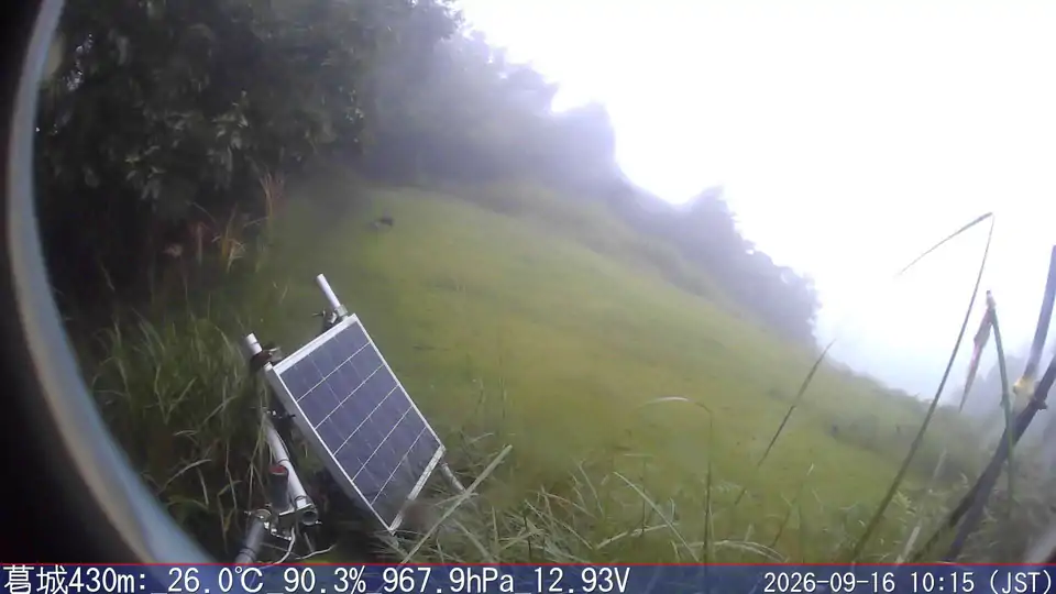 09/16 10:15