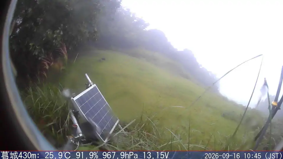 09/16 10:45