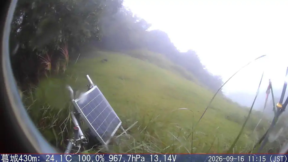09/16 11:15