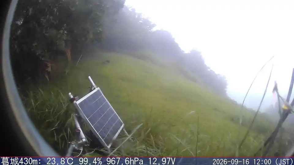 09/16 12:00