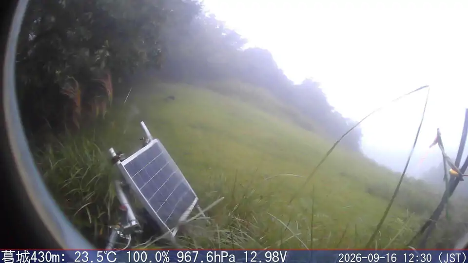 09/16 12:30