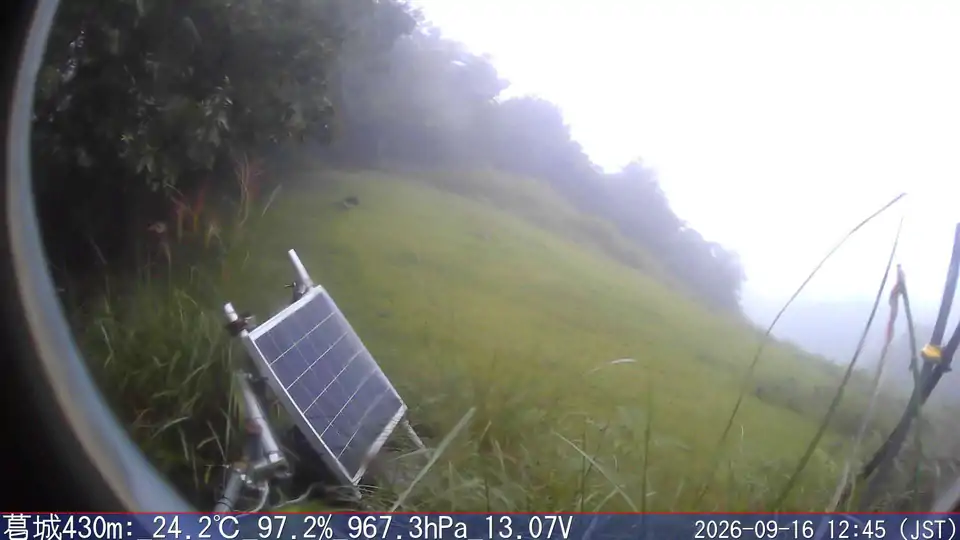 09/16 12:45
