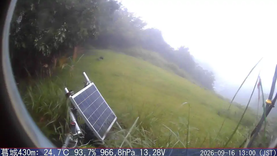 09/16 13:00