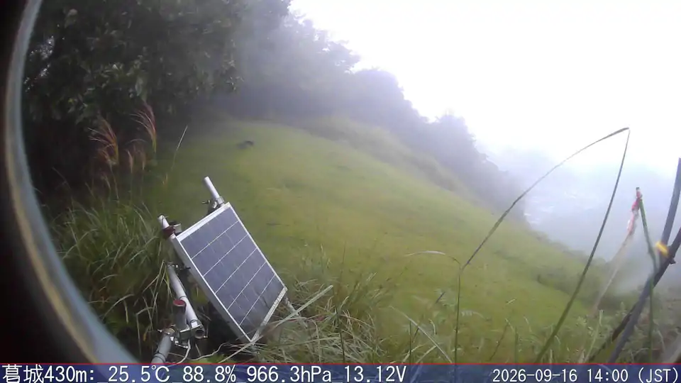 09/16 14:00