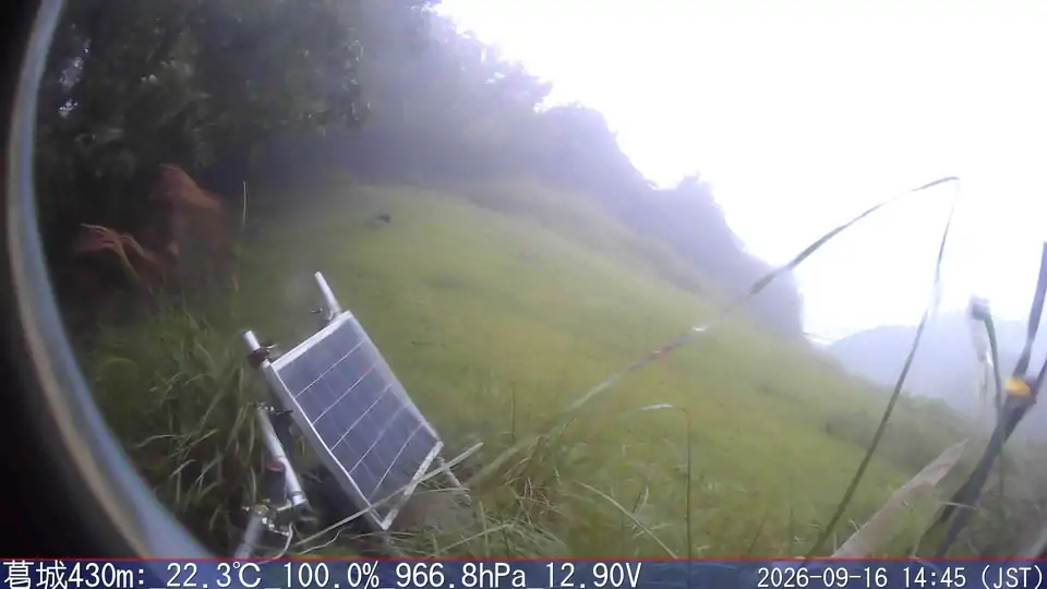 09/16 14:45