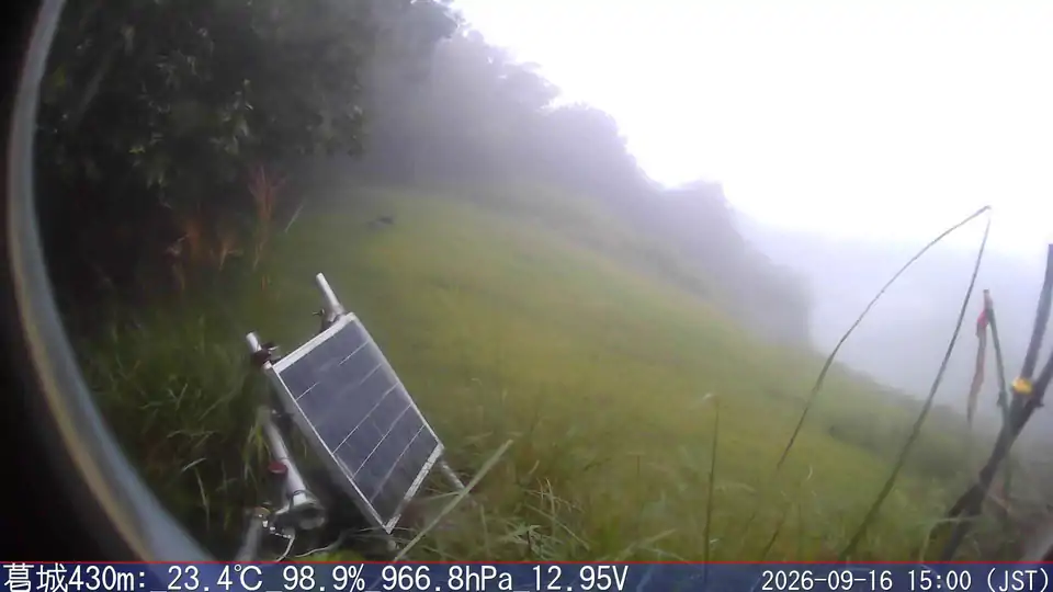 09/16 15:00