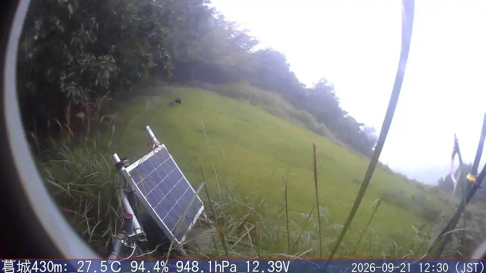 09/21 12:30