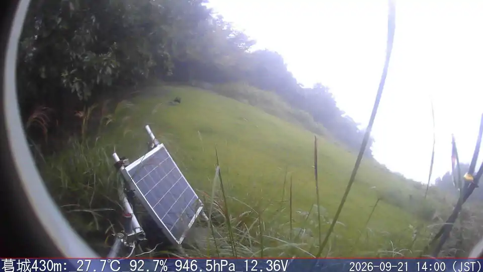 09/21 14:00
