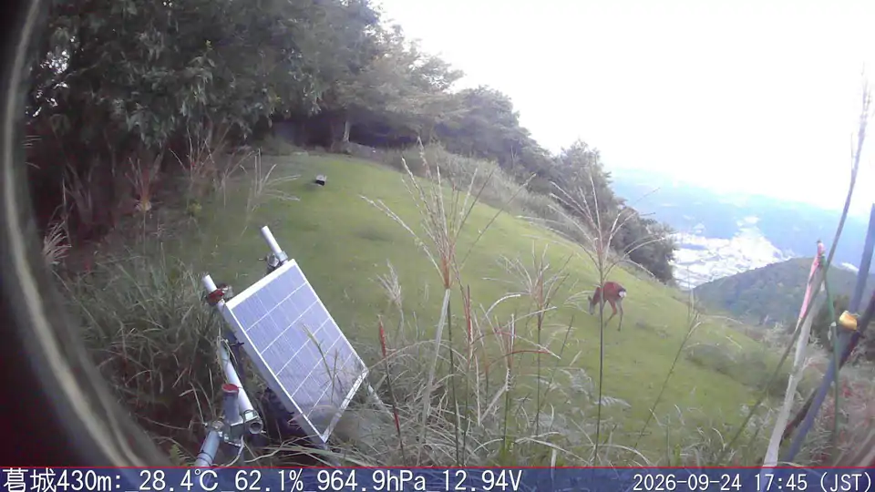 09/24 17:45