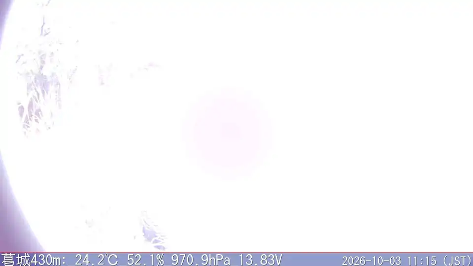 10/03 11:15