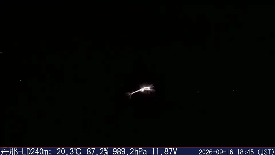 09/16 18:45