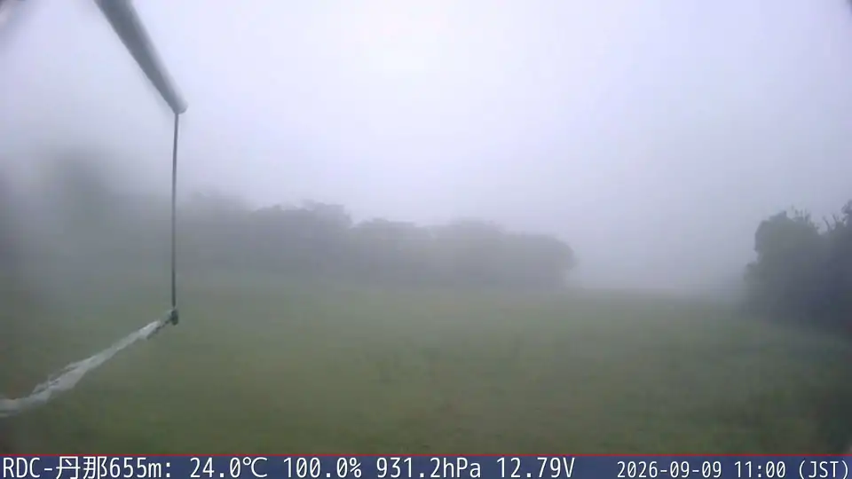 09/09 11:00