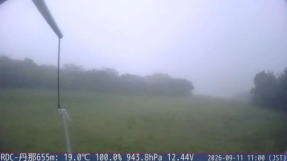 09/11 11:00