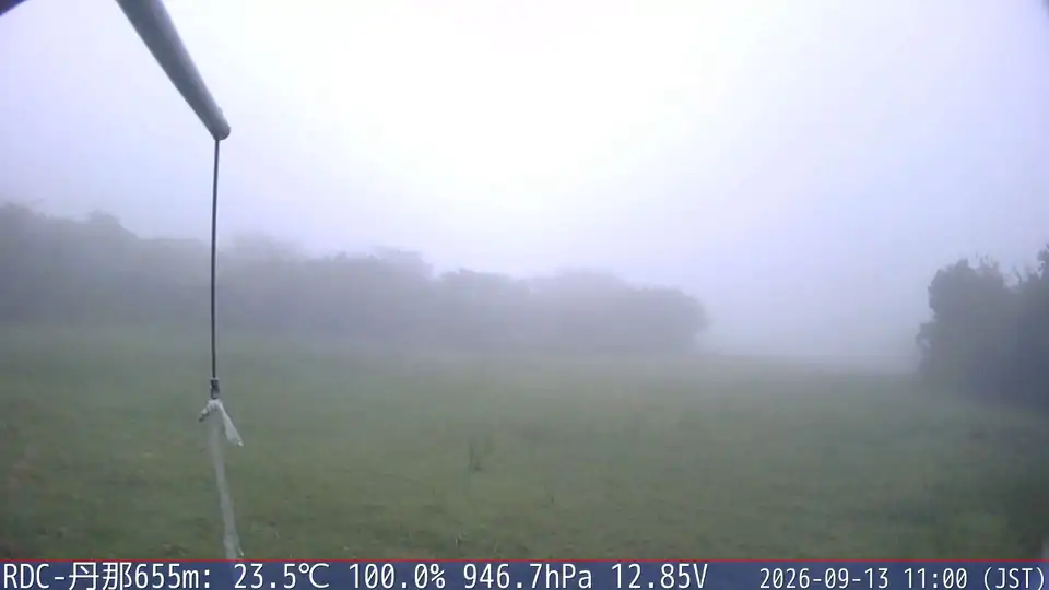 09/13 11:00