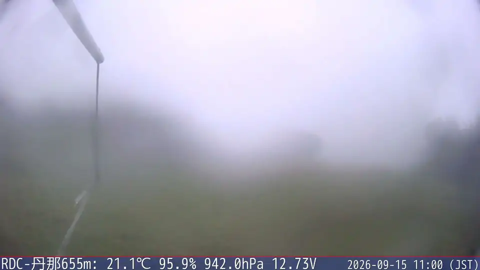09/15 11:00