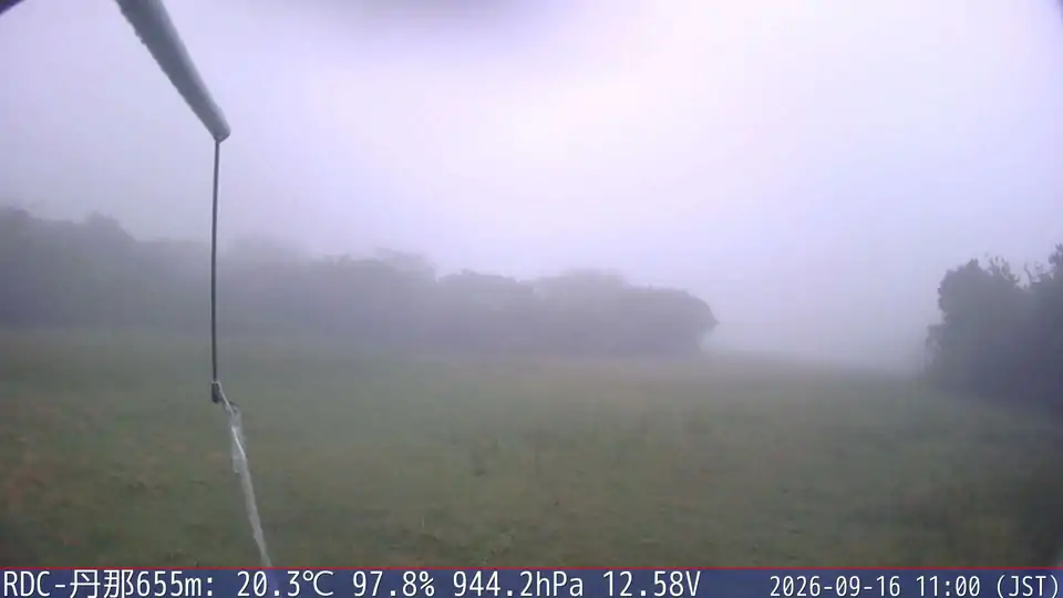 09/16 11:00